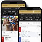 insurance bet horse racing